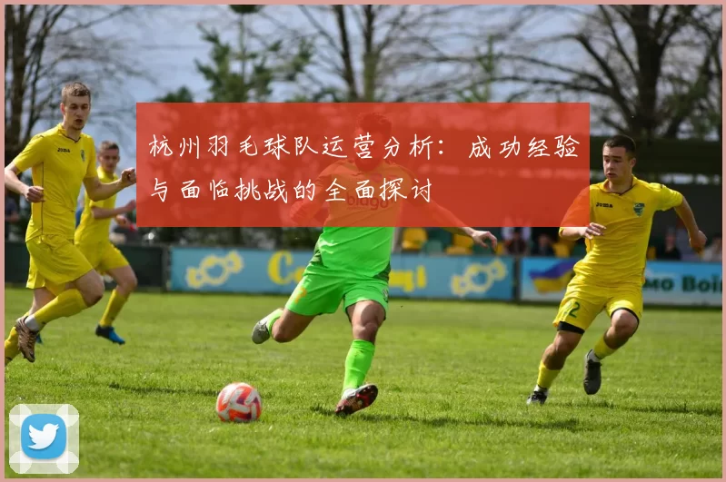 杭州羽毛球队运营分析：成功经验与面临挑战的全面探讨