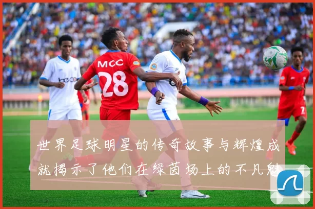 世界足球明星的传奇故事与辉煌成就揭示了他们在绿茵场上的不凡魅力与影响力