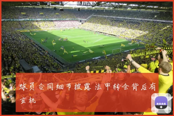 球员合同细节披露 法甲转会背后有玄机