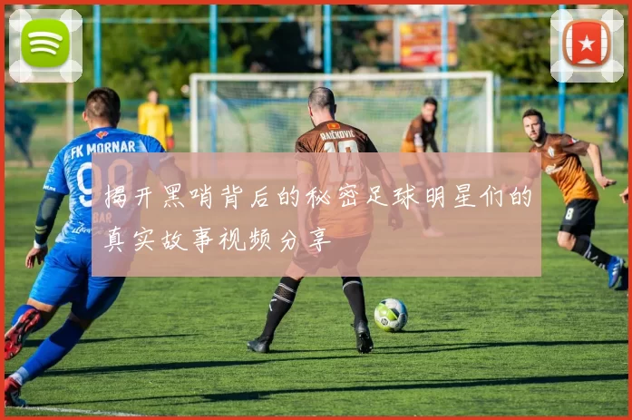 揭开黑哨背后的秘密足球明星们的真实故事视频分享
