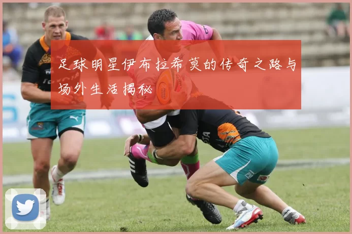 足球明星伊布拉希莫的传奇之路与场外生活揭秘