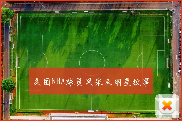 美国NBA球员风采及明星故事