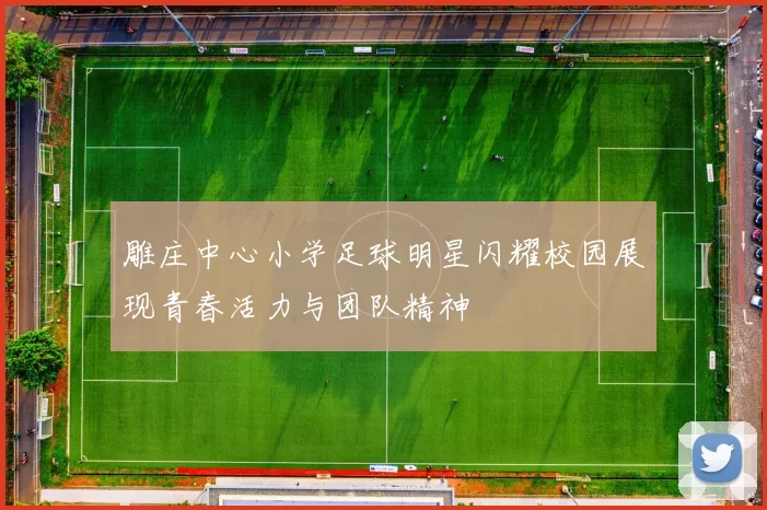 雕庄中心小学足球明星闪耀校园展现青春活力与团队精神