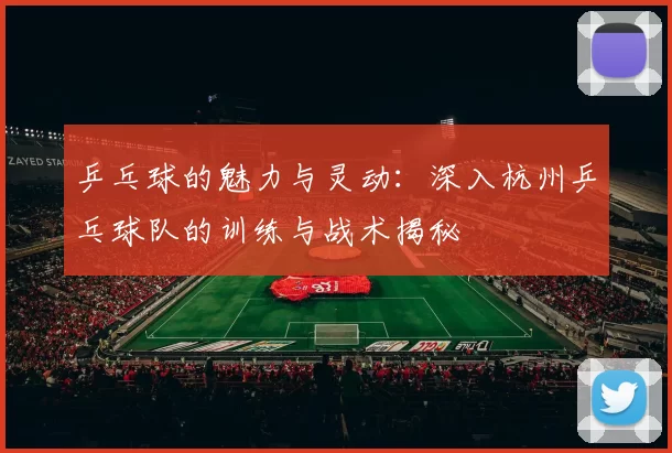 乒乓球的魅力与灵动：深入杭州乒乓球队的训练与战术揭秘