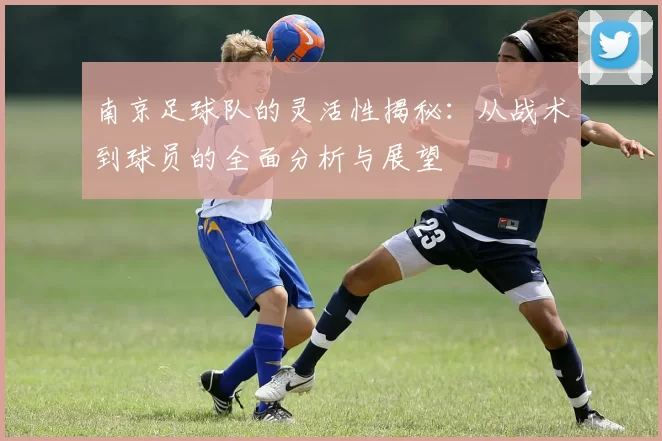 南京足球队的灵活性揭秘：从战术到球员的全面分析与展望