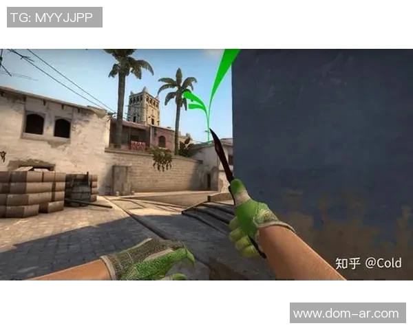 CSGO战术解析:深入探讨FPX如何实现全方位压制对手