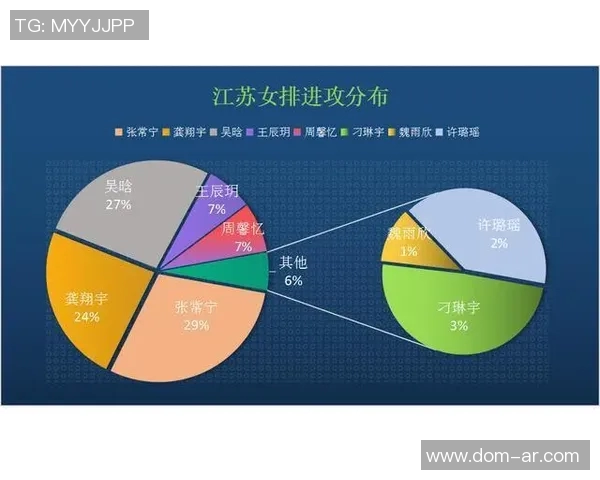 上海排球队灵活性深度对比分析与启示