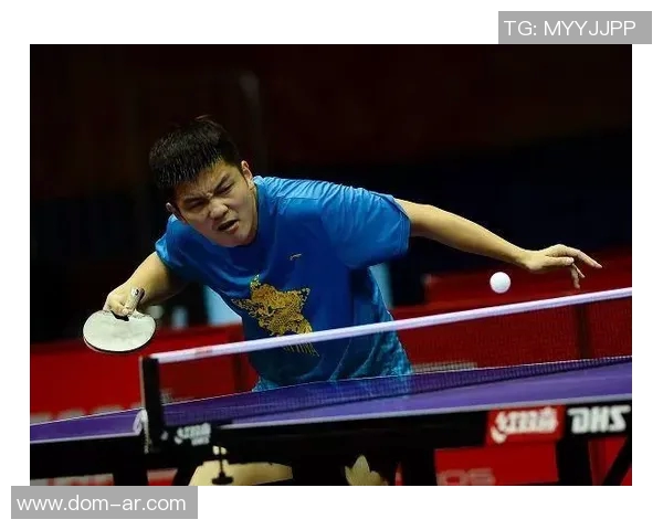 刘娜独家分享乒乓球技巧与心得体会助你提升球技的秘密宝典