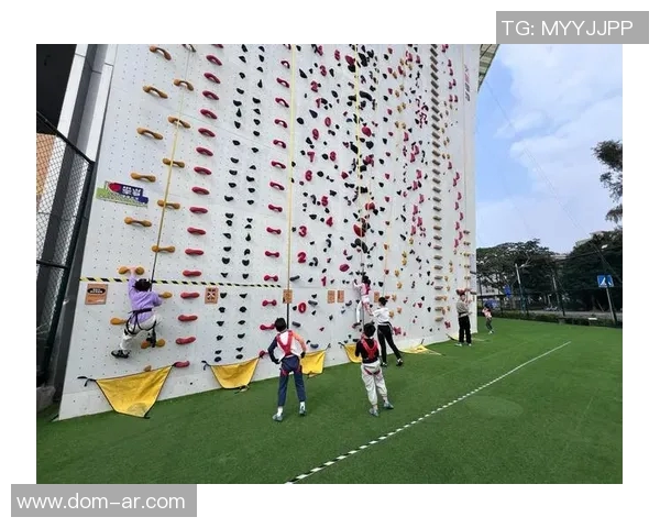 武汉攀岩队的成长历程与极限运动嘉年华的精彩瞬间揭秘